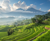 Exploring Bali’s Stunning Rice Terraces: A Must-See Natural Wonder