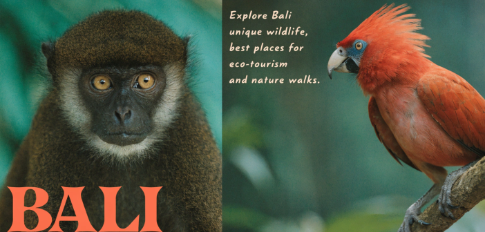 Exploring Bali’s Unique Wildlife: Best Places for Eco-Tourism and Nature Walks